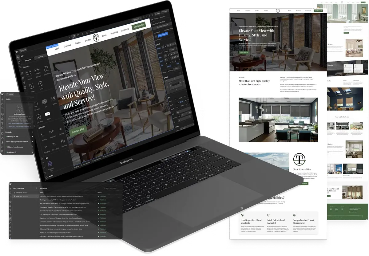 Web development project showcase